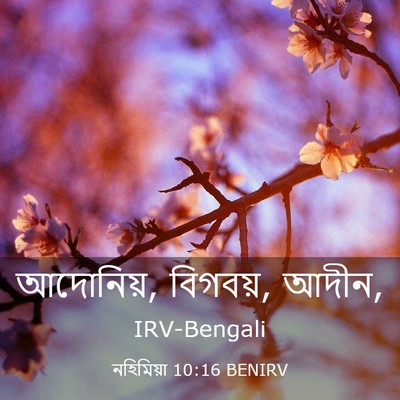 Picture 03 - নহিমিয়া 10:16 BENIRV - আদোনিয়, বিগবয়, - Bible Verse Picture