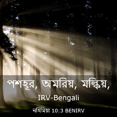 Picture 03 - নহিমিয়া 10:3 BENIRV - পশহূর, অমরিয়, - Bible Verse Picture