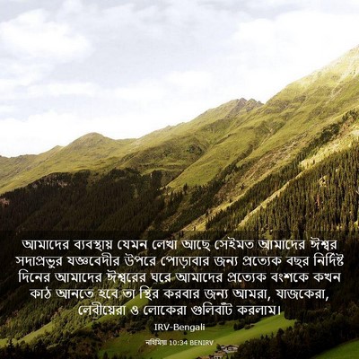 Picture 03 - নহিমিয়া 10:34 BENIRV - আমাদের ব্যবস্থায় - Bible Verse Picture