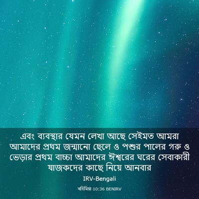 Picture 03 - নহিমিয়া 10:36 BENIRV - এবং ব্যবস্থার - Bible Verse Picture