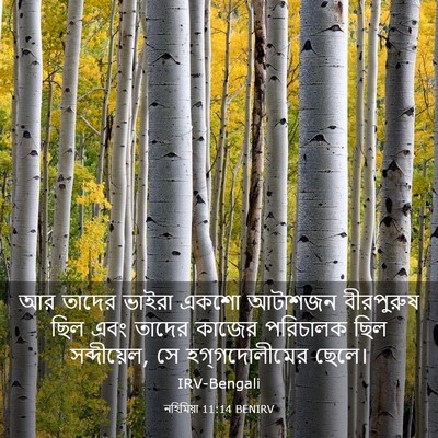 Picture 03 - নহিমিয়া 11:14 BENIRV - আর তাদের ভাইরা - Bible Verse Picture