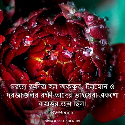 Picture 03 - নহিমিয়া 11:19 BENIRV - দরজা রক্ষীরা হল - Bible Verse Picture