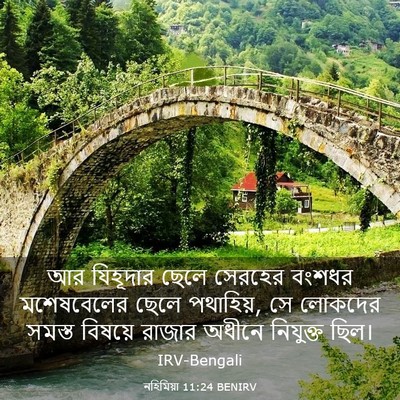 Picture 03 - নহিমিয়া 11:24 BENIRV - আর যিহূদার ছেলে - Bible Verse Picture