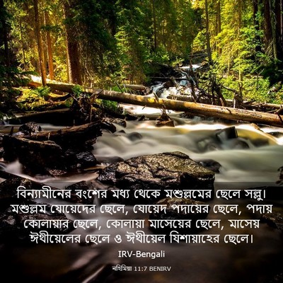 Picture 03 - নহিমিয়া 11:7 BENIRV - বিন্যামীনের বংশের - Bible Verse Picture