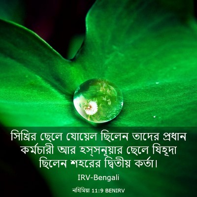 Picture 03 - নহিমিয়া 11:9 BENIRV - সিখ্রির ছেলে - Bible Verse Picture