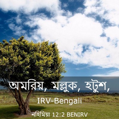 Picture 03 - নহিমিয়া 12:2 BENIRV - অমরিয়, মল্লুক, - Bible Verse Picture