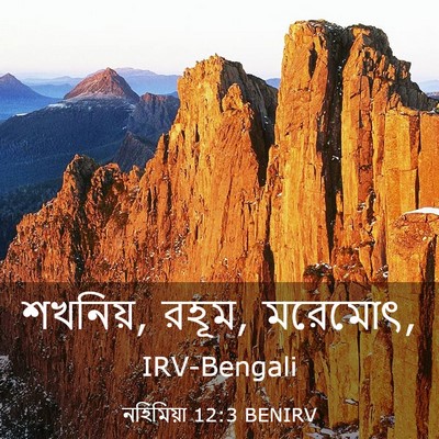 Picture 03 - নহিমিয়া 12:3 BENIRV - শখনিয়, রহূম, - Bible Verse Picture