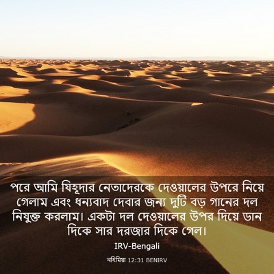Picture 03 - নহিমিয়া 12:31 BENIRV - পরে আমি যিহূদার - Bible Verse Picture