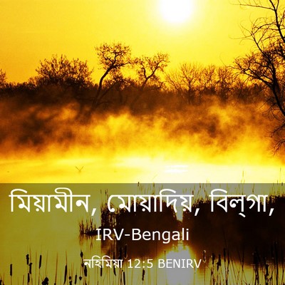 Picture 03 - নহিমিয়া 12:5 BENIRV - মিয়ামীন, - Bible Verse Picture