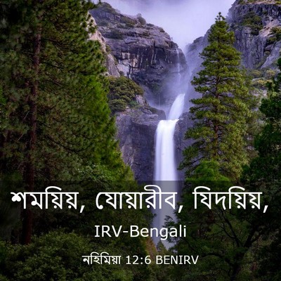 Picture 03 - নহিমিয়া 12:6 BENIRV - শময়িয়, যোয়ারীব, - Bible Verse Picture