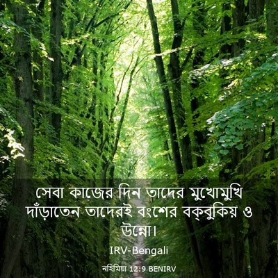 Picture 03 - নহিমিয়া 12:9 BENIRV - সেবা কাজের দিন - Bible Verse Picture