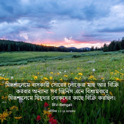 Picture 03 - নহিমিয়া 13:16 BENIRV - যিরূশালেমে - Bible Verse Picture