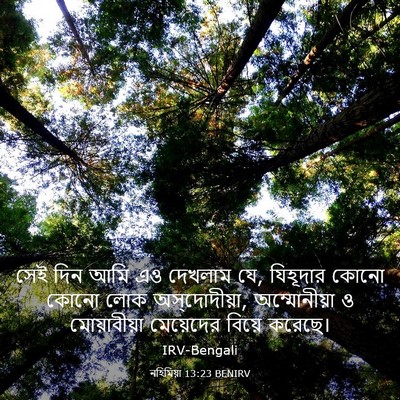 Picture 03 - নহিমিয়া 13:23 BENIRV - সেই দিন আমি এও - Bible Verse Picture