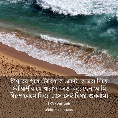 Picture 03 - নহিমিয়া 13:7 BENIRV - ঈশ্বরের গৃহে - Bible Verse Picture