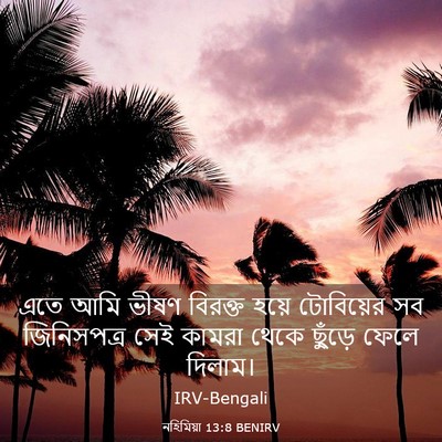 Picture 03 - নহিমিয়া 13:8 BENIRV - এতে আমি ভীষণ - Bible Verse Picture
