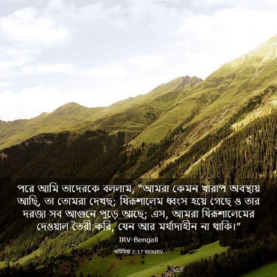 Picture 03 - নহিমিয়া 2:17 BENIRV - পরে আমি তাদেরকে - Bible Verse Picture
