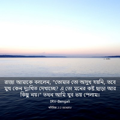 Picture 03 - নহিমিয়া 2:2 BENIRV - রাজা আমাকে বললেন, - Bible Verse Picture