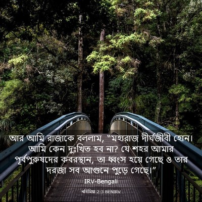 Picture 03 - নহিমিয়া 2:3 BENIRV - আর আমি রাজাকে - Bible Verse Picture