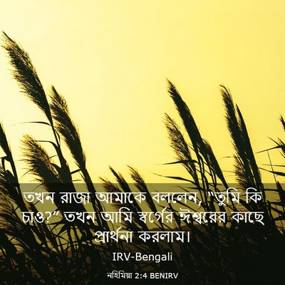 Picture 03 - নহিমিয়া 2:4 BENIRV - তখন রাজা আমাকে - Bible Verse Picture