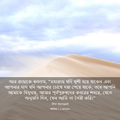 Picture 03 - নহিমিয়া 2:5 BENIRV - আর রাজাকে বললাম, - Bible Verse Picture