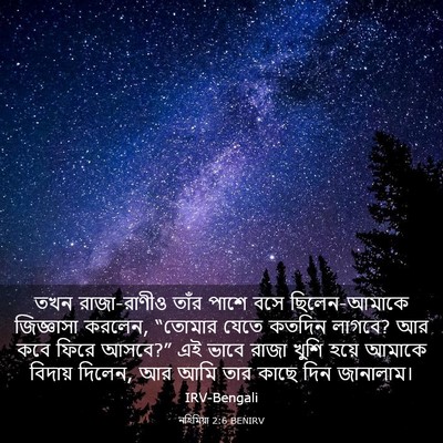 Picture 03 - নহিমিয়া 2:6 BENIRV - তখন রাজা-রাণীও - Bible Verse Picture