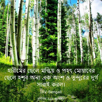 Picture 03 - নহিমিয়া 3:11 BENIRV - হারীমের ছেলে - Bible Verse Picture