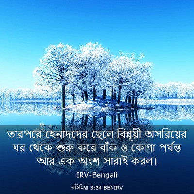 Picture 03 - নহিমিয়া 3:24 BENIRV - তারপরে হেনাদদের - Bible Verse Picture
