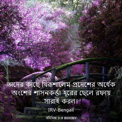 Picture 03 - নহিমিয়া 3:9 BENIRV - তাদের কাছে - Bible Verse Picture