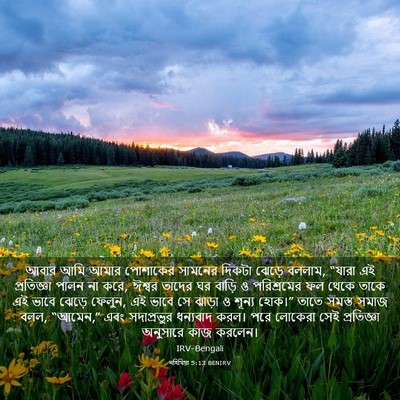 Picture 03 - নহিমিয়া 5:13 BENIRV - আবার আমি আমার - Bible Verse Picture