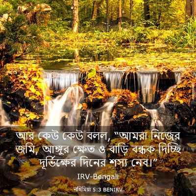 Picture 03 - নহিমিয়া 5:3 BENIRV - আর কেউ কেউ বলল, - Bible Verse Picture