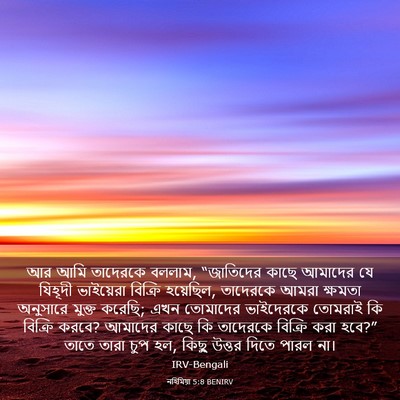 Picture 03 - নহিমিয়া 5:8 BENIRV - আর আমি তাদেরকে - Bible Verse Picture