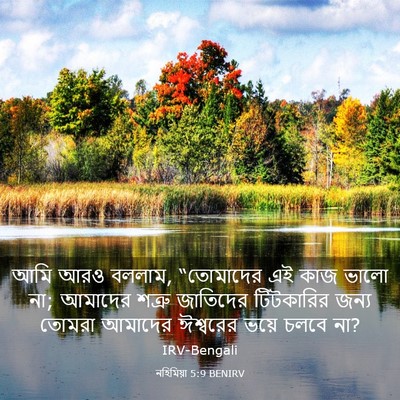 Picture 03 - নহিমিয়া 5:9 BENIRV - আমি আরও বললাম, - Bible Verse Picture