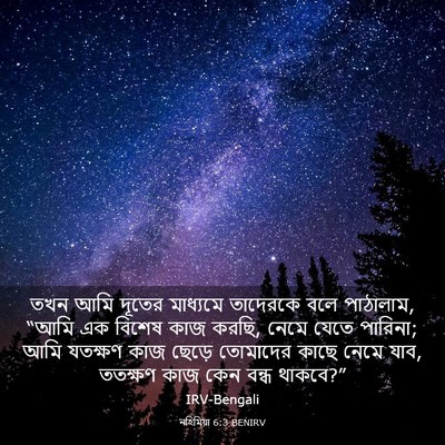 Picture 03 - নহিমিয়া 6:3 BENIRV - তখন আমি দূতের - Bible Verse Picture