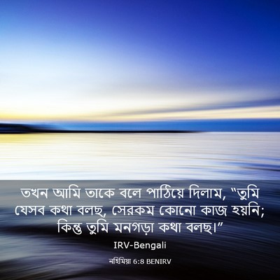 Picture 03 - নহিমিয়া 6:8 BENIRV - তখন আমি তাকে বলে - Bible Verse Picture