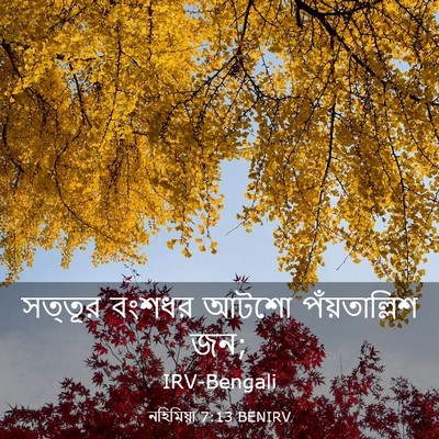 Picture 03 - নহিমিয়া 7:13 BENIRV - সত্তূর বংশধর আটশো - Bible Verse Picture