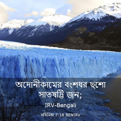 Picture 03 - নহিমিয়া 7:18 BENIRV - অদোনীকামের বংশধর - Bible Verse Picture