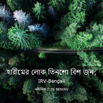 Picture 03 - নহিমিয়া 7:35 BENIRV - হারীমের লোক তিনশো - Bible Verse Picture