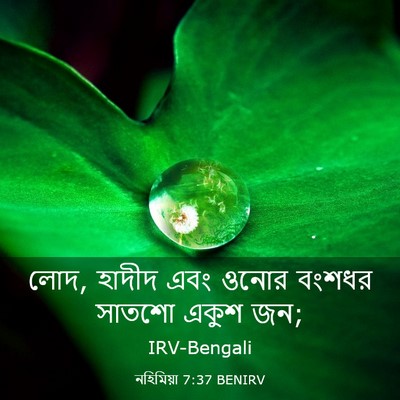 Picture 03 - নহিমিয়া 7:37 BENIRV - লোদ, হাদীদ এবং ওনোর - Bible Verse Picture