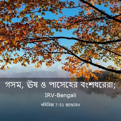 Picture 03 - নহিমিয়া 7:51 BENIRV - গসম, ঊষ ও পাসেহের - Bible Verse Picture