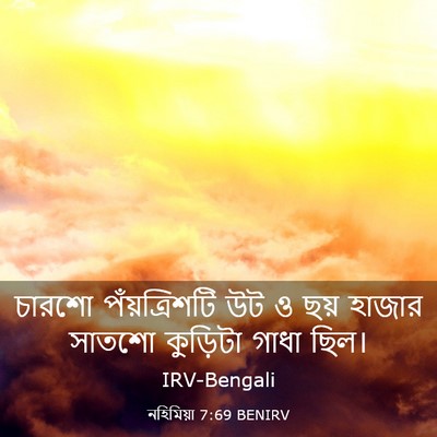 Picture 03 - নহিমিয়া 7:69 BENIRV - চারশো পঁয়ত্রিশটি - Bible Verse Picture