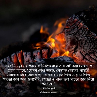 Picture 03 - নহিমিয়া 8:15 BENIRV - এবং নিজের সব শহরে ও - Bible Verse Picture