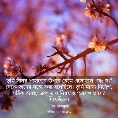 Picture 03 - নহিমিয়া 9:13 BENIRV - তুমি সীনয় - Bible Verse Picture