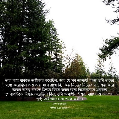 Picture 03 - নহিমিয়া 9:17 BENIRV - তারা বাধ্য থাকতে - Bible Verse Picture