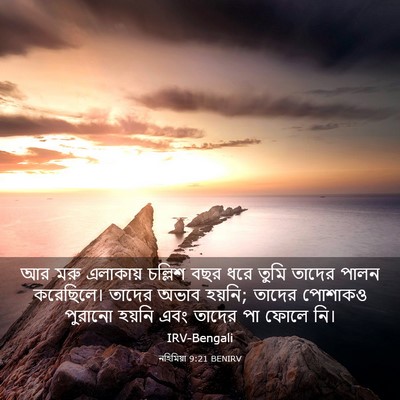 Picture 03 - নহিমিয়া 9:21 BENIRV - আর মরু এলাকায় - Bible Verse Picture