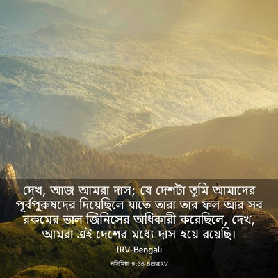 Picture 03 - নহিমিয়া 9:36 BENIRV - দেখ, আজ আমরা দাস; যে - Bible Verse Picture