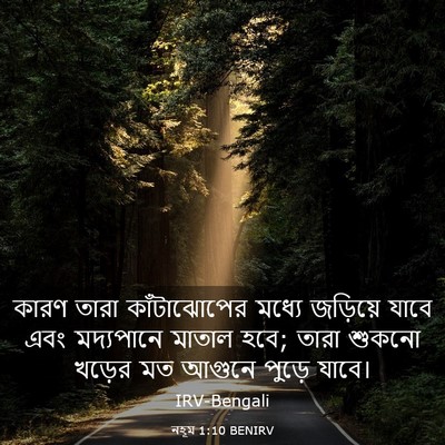 Picture 03 - নহূম 1:10 BENIRV - কারণ তারা - Bible Verse Picture