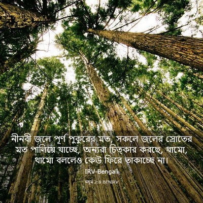 Picture 03 - নহূম 2:8 BENIRV - নীনবী জলে পূর্ণ - Bible Verse Picture