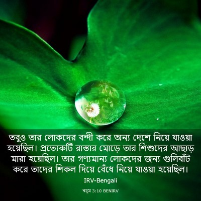 Picture 03 - নহূম 3:10 BENIRV - তবুও তার লোকদের - Bible Verse Picture