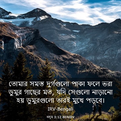 Picture 03 - নহূম 3:12 BENIRV - তোমার সমস্ত - Bible Verse Picture