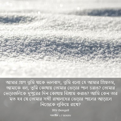 Picture 03 - পৰমগীত 1:7 BENIRV - আমার প্রাণ তুমি - Bible Verse Picture